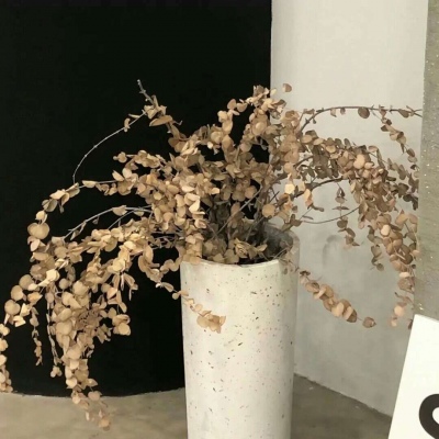 龙凤福瑞交流群